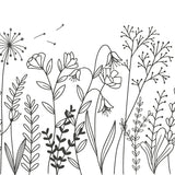Funeral Order of Service in Illustrated Wildflowers