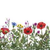 Funeral Order of Service in Wildflowers