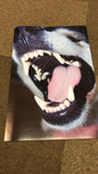 Personalised Your Photo and Your Personal Message Print for adults and children
