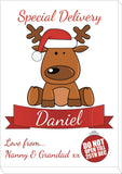 SS11 - Special Delivery Santa's Reindeer Personalised Christmas Print