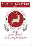 SS14 - Special Delivery Via Reindeer Mail Solid Colour Personalised Christmas Print