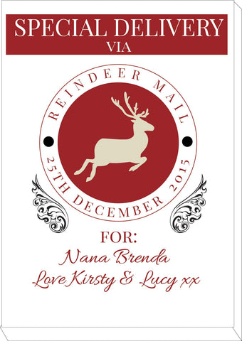 SS14 - Special Delivery Via Reindeer Mail Solid Colour Personalised Christmas Canvas Print