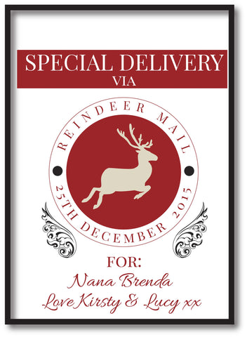 SS14 - Special Delivery Via Reindeer Mail Solid Colour Personalised Christmas Print
