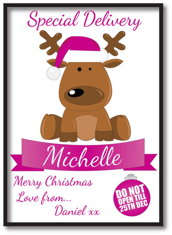 SS15 - Special Delivery Santa's Reindeer Personalised Christmas Pink Print