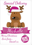 SS15 - Special Delivery Santa's Reindeer Personalised Christmas Pink Canvas Print