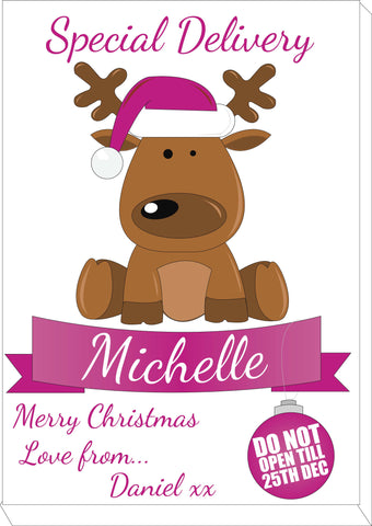 SS15 - Special Delivery Santa's Reindeer Personalised Christmas Pink Canvas Print