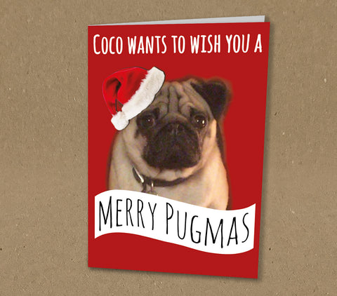 Christmas Cards for Family, Wishing a Happy Pugmus with Photo of Your Pug