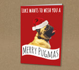 Christmas Cards for Family, Wishing a Happy Pugmus with Photo of Your Pug