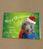 Christmas Cards for Family, Personalised with Photo of Your Dog or Any Pet