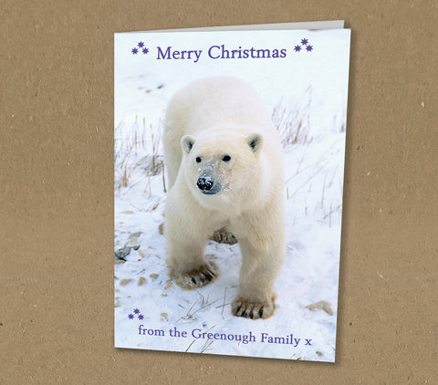 Christmas Cards for Business or Home, Polar Bear Photo Personalised with Logo or Message