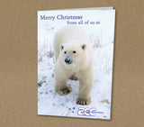 Christmas Cards for Business or Home, Polar Bear Photo Personalised with Logo or Message