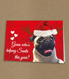 Christmas Cards for Family, Personalised with Photo of Your Dog or Any Pet